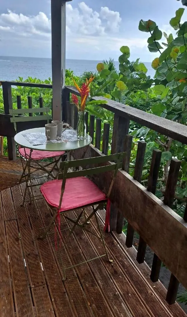 公寓 Studio Bord De Mer 舍尔谢 马提尼克